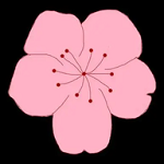 抖音9.1APP应用