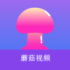 老司机“在线开车”网APP应用